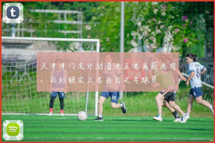 天津津门虎计划清洗五名高薪老将，目标锁定三名当打之年球员